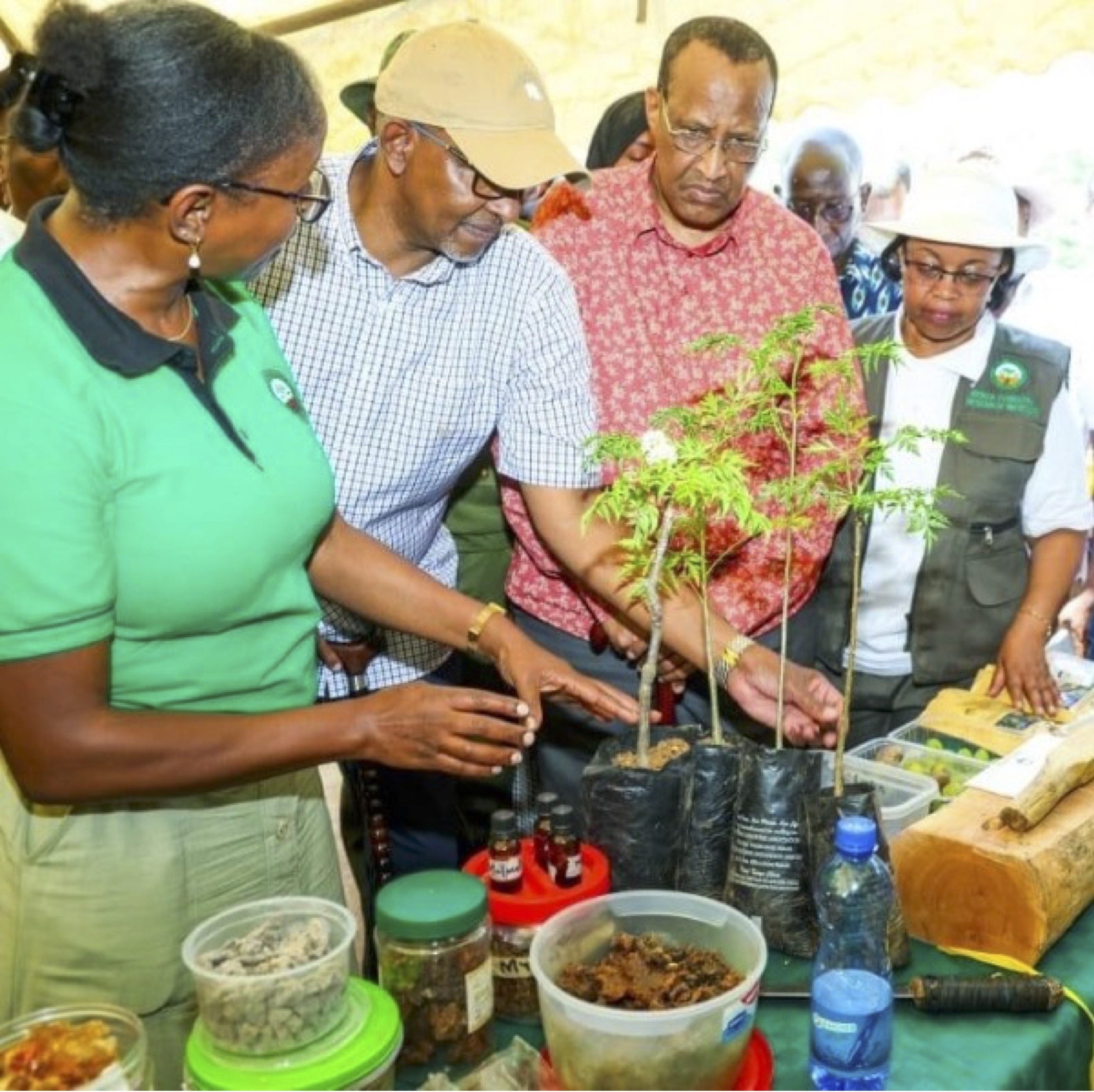 CS Duale lauds KEFRI’s efforts in eradicating Mathenge in Garissa County 